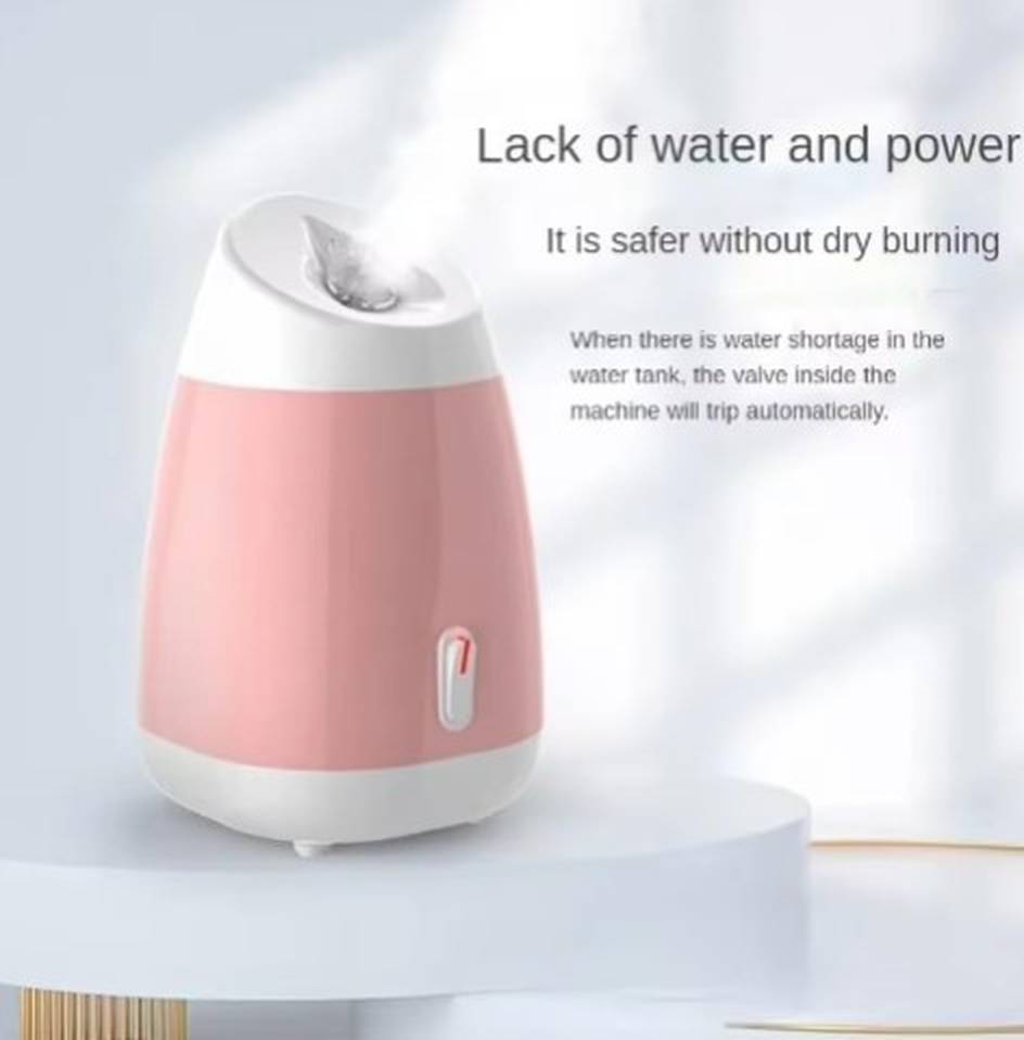 Professional Facial Steamer